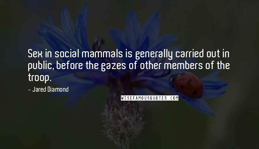 Jared Diamond quotes: Sex in social mammals is generally carried out in public, before the gazes of other members of the troop.