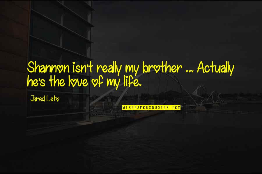 Jared Leto Quotes By Jared Leto: Shannon isn't really my brother ... Actually he's