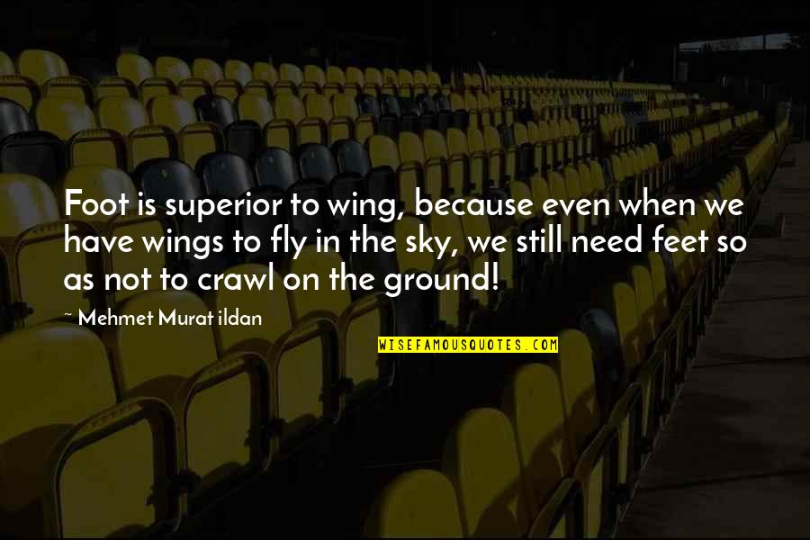 Jarl Ulfric Quotes By Mehmet Murat Ildan: Foot is superior to wing, because even when Jarl Ulfric Quotes By Mehmet Murat Ildan: Foot is superior to wing, because even when