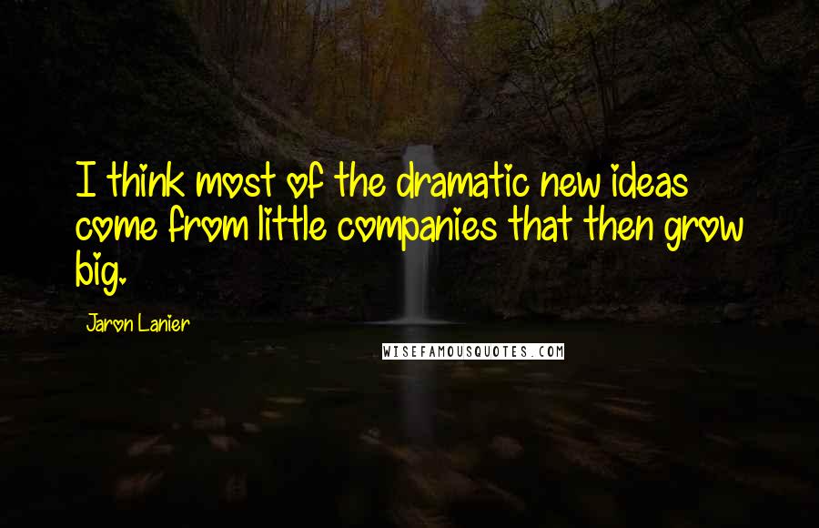 Jaron Lanier quotes: I think most of the dramatic new ideas come from little companies that then grow big.