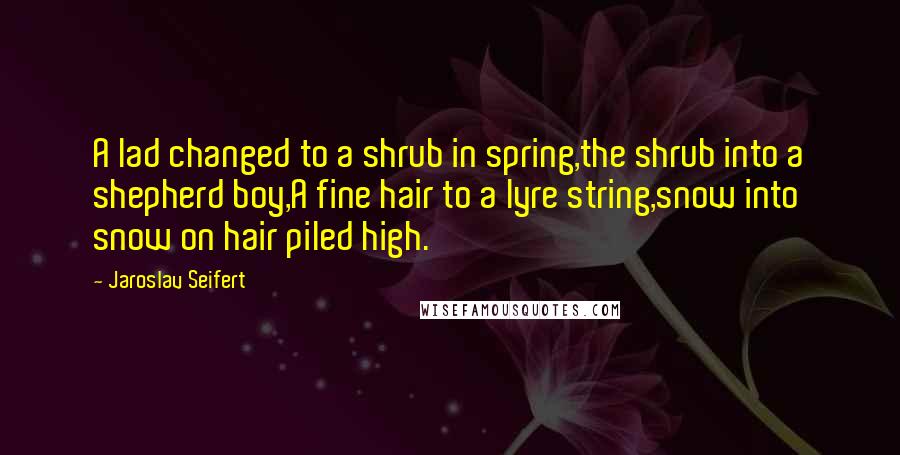 Jaroslav Seifert quotes: A lad changed to a shrub in spring,the shrub into a shepherd boy,A fine hair to a lyre string,snow into snow on hair piled high.