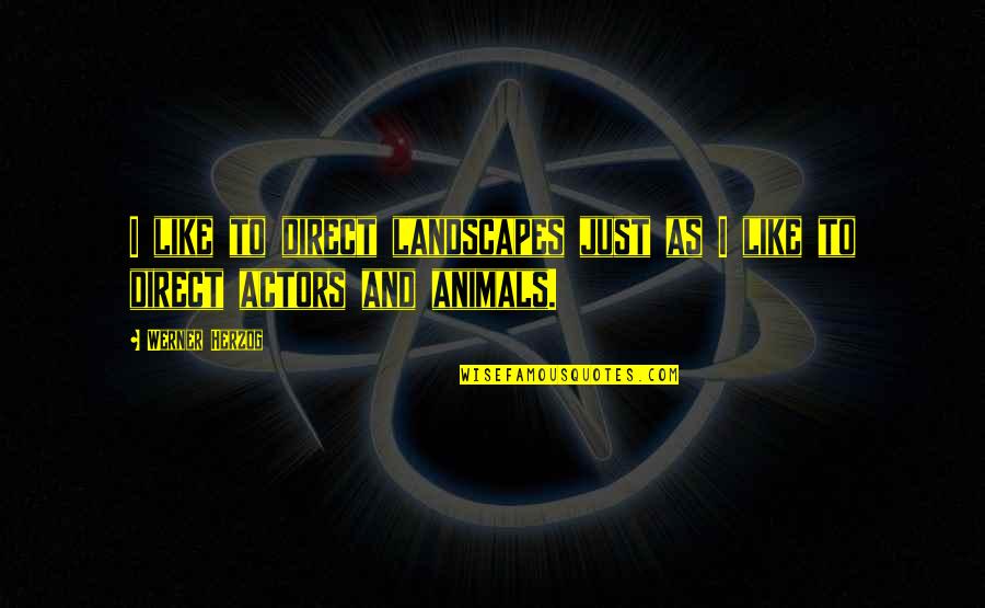 Jarosz Knives Quotes By Werner Herzog: I like to direct landscapes just as I
