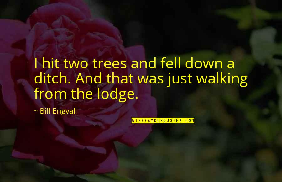 Jarring Touchdown Quotes By Bill Engvall: I hit two trees and fell down a