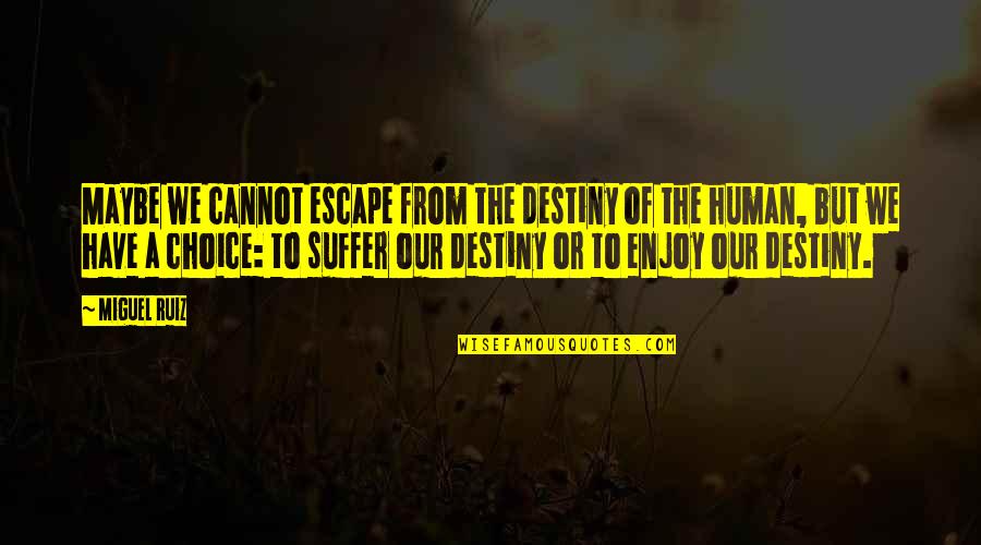 Jasha Spa Quotes By Miguel Ruiz: Maybe we cannot escape from the destiny of