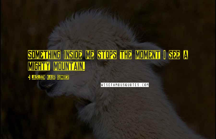 Jasleen Kaur Gumber quotes: Something inside me stops the moment I see a mighty mountain.