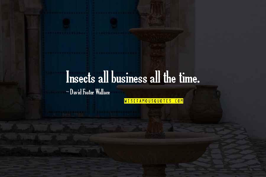 Jasminder Randhawa Quotes By David Foster Wallace: Insects all business all the time. Jasminder Randhawa Quotes By David Foster Wallace: Insects all business all the time.