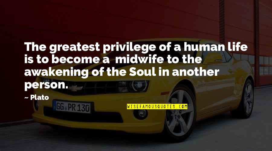 Jason Bateman Dodgeball Quotes By Plato: The greatest privilege of a human life is Jason Bateman Dodgeball Quotes By Plato: The greatest privilege of a human life is