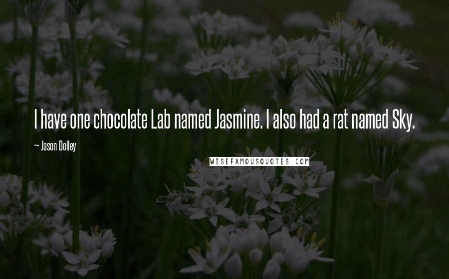 Jason Dolley quotes: I have one chocolate Lab named Jasmine. I also had a rat named Sky.