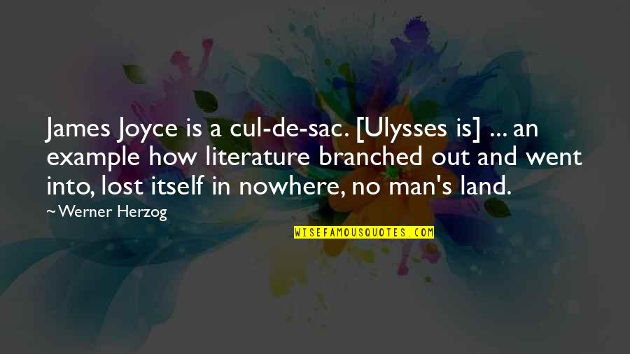 Jasonmraz Quotes By Werner Herzog: James Joyce is a cul-de-sac. [Ulysses is] ...