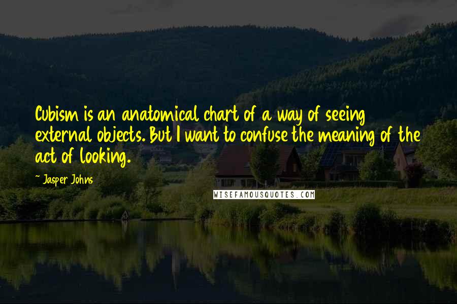 Jasper Johns quotes: Cubism is an anatomical chart of a way of seeing external objects. But I want to confuse the meaning of the act of looking.