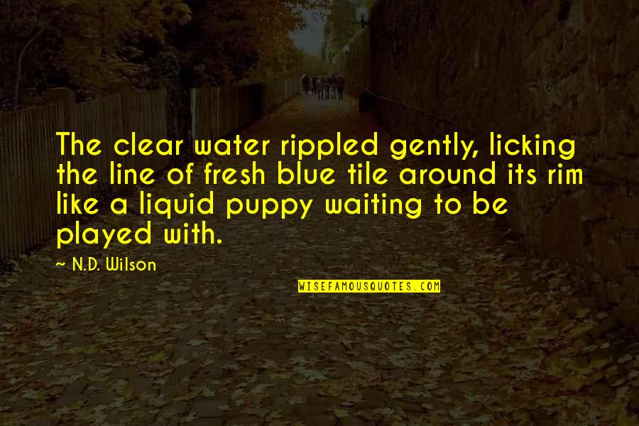 Jaston Archie Quotes By N.D. Wilson: The clear water rippled gently, licking the line Jaston Archie Quotes By N.D. Wilson: The clear water rippled gently, licking the line