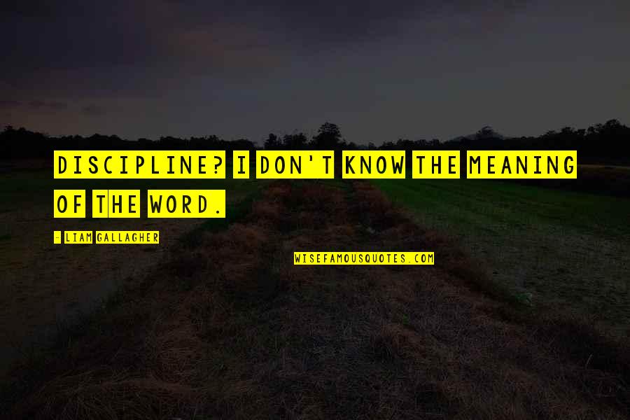 Jaunuolis Quotes By Liam Gallagher: Discipline? I don't know the meaning of the Jaunuolis Quotes By Liam Gallagher: Discipline? I don't know the meaning of the