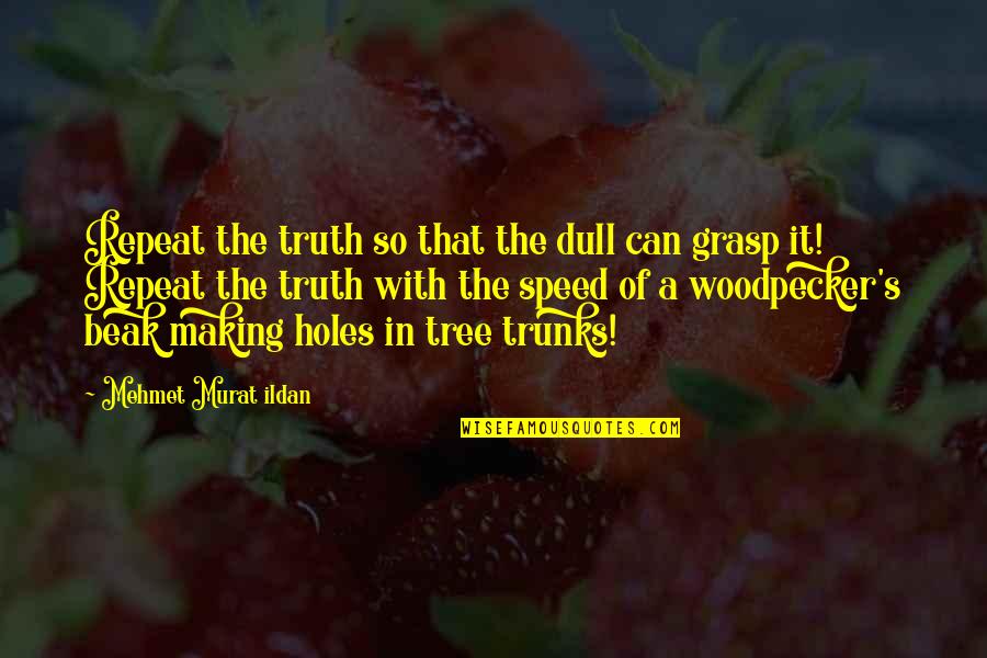 Javascript Null Quotes By Mehmet Murat Ildan: Repeat the truth so that the dull can Javascript Null Quotes By Mehmet Murat Ildan: Repeat the truth so that the dull can