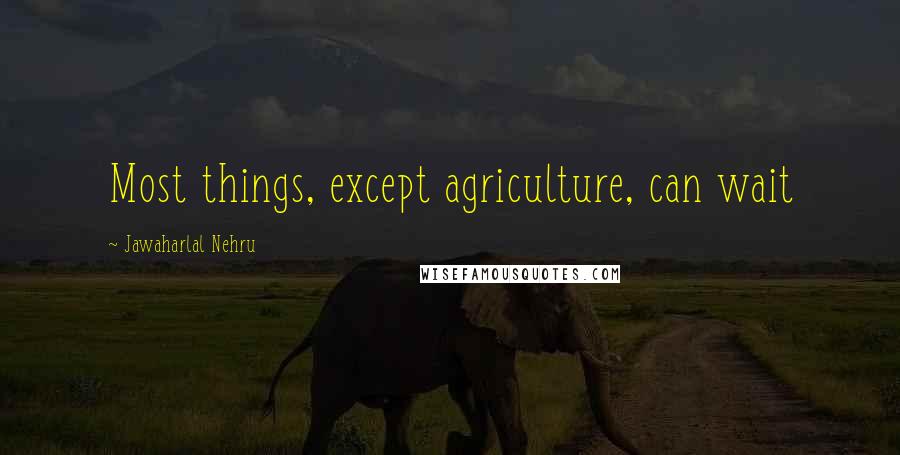 Jawaharlal Nehru quotes: Most things, except agriculture, can wait