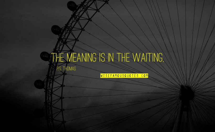 Jawane Jane Quotes By R.S. Thomas: The meaning is in the waiting, Jawane Jane Quotes By R.S. Thomas: The meaning is in the waiting,