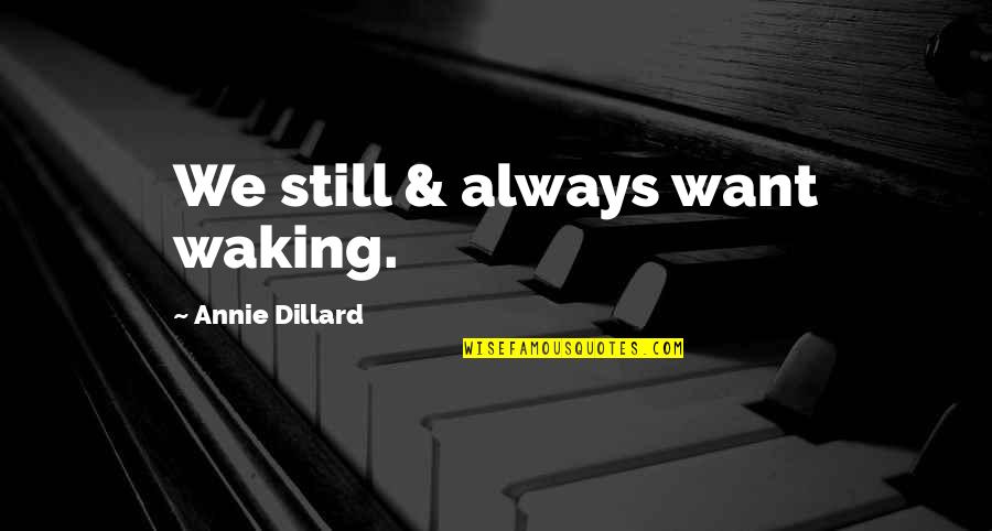 Jawwad Hussain Quotes By Annie Dillard: We still & always want waking. Jawwad Hussain Quotes By Annie Dillard: We still & always want waking.