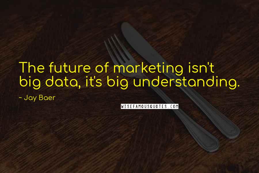 Jay Baer quotes: The future of marketing isn't big data, it's big understanding.