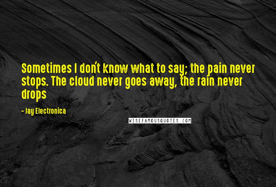 Jay Electronica quotes: Sometimes I don't know what to say; the pain never stops. The cloud never goes away, the rain never drops Jay Electronica quotes: Sometimes I don't know what to say; the pain never stops. The cloud never goes away, the rain never drops