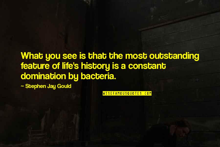 Jay Gould Quotes By Stephen Jay Gould: What you see is that the most outstanding
