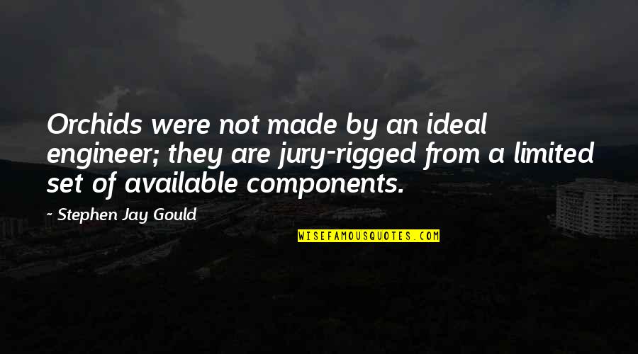Jay Gould Quotes By Stephen Jay Gould: Orchids were not made by an ideal engineer;