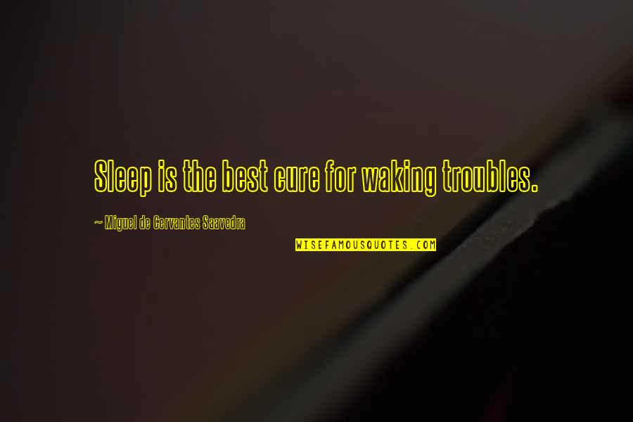 Jay Gruden Quotes By Miguel De Cervantes Saavedra: Sleep is the best cure for waking troubles.