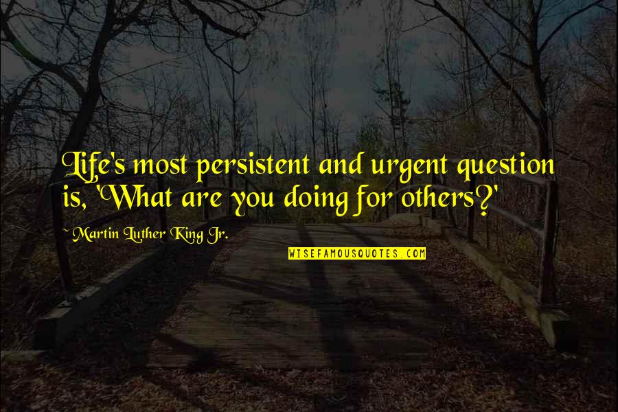Jay Papasan Quotes By Martin Luther King Jr.: Life's most persistent and urgent question is, 'What