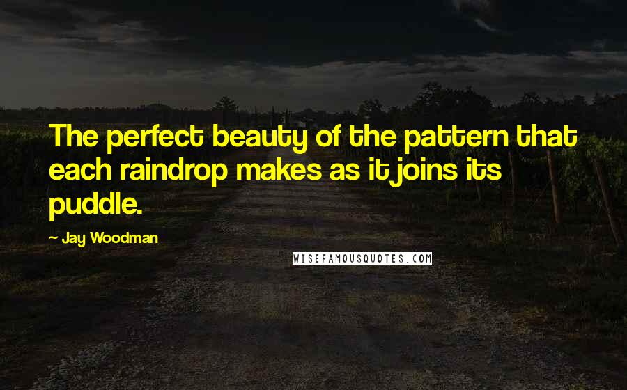 Jay Woodman quotes: The perfect beauty of the pattern that each raindrop makes as it joins its puddle.
