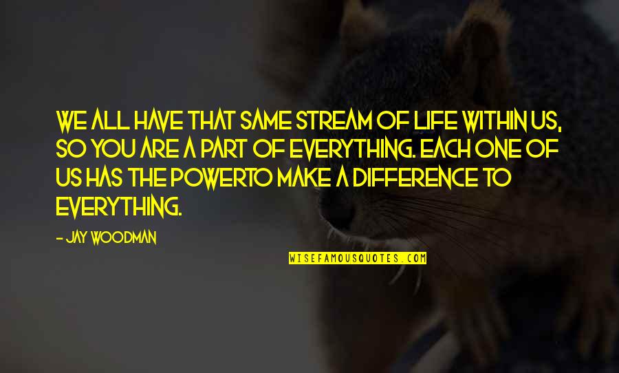Jay Z On Life Quotes By Jay Woodman: We all have that same stream of life Jay Z On Life Quotes By Jay Woodman: We all have that same stream of life