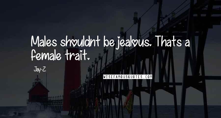 Jay-Z quotes: Males shouldnt be jealous. Thats a female trait.