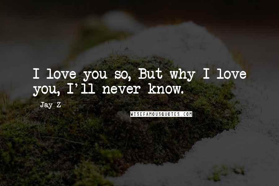 Jay-Z quotes: I love you so, But why I love you, I'll never know.