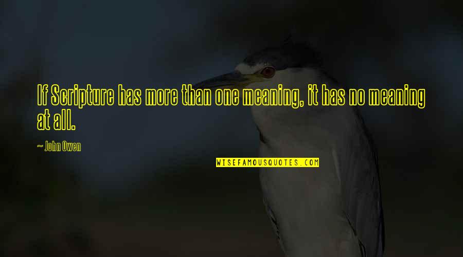 Jay Z Rap Quotes By John Owen: If Scripture has more than one meaning, it