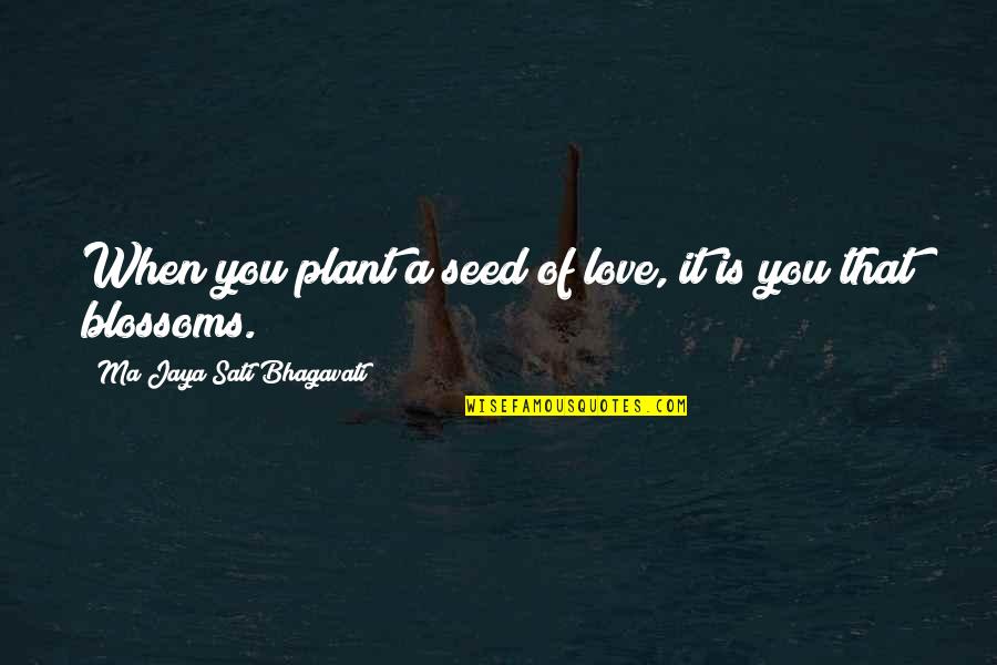 Jaya Quotes By Ma Jaya Sati Bhagavati: When you plant a seed of love, it