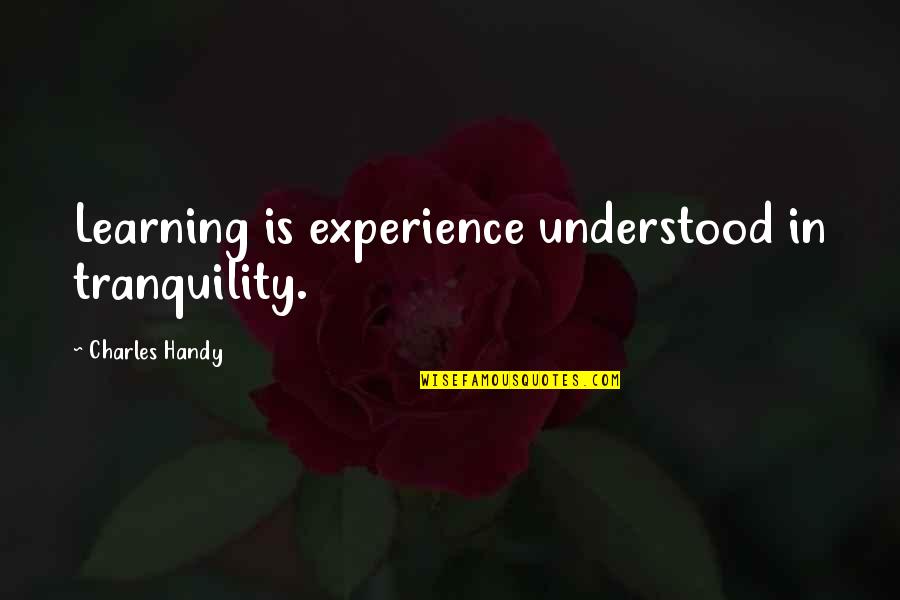 Jayanne Aldanese Quotes By Charles Handy: Learning is experience understood in tranquility.