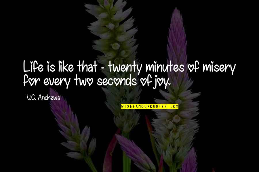 Jaydens Journey Quotes By V.C. Andrews: Life is like that - twenty minutes of