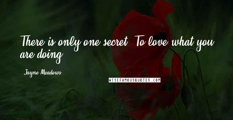 Jayne Meadows quotes: There is only one secret. To love what you are doing.