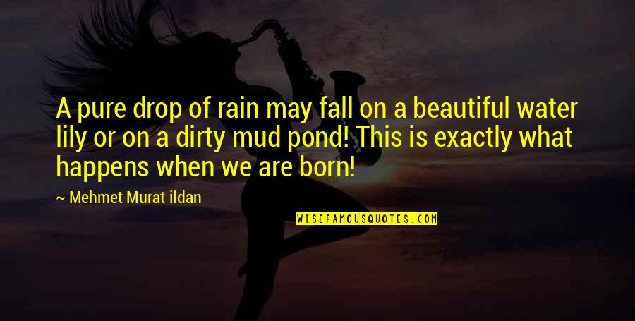 Jaynise Quotes By Mehmet Murat Ildan: A pure drop of rain may fall on