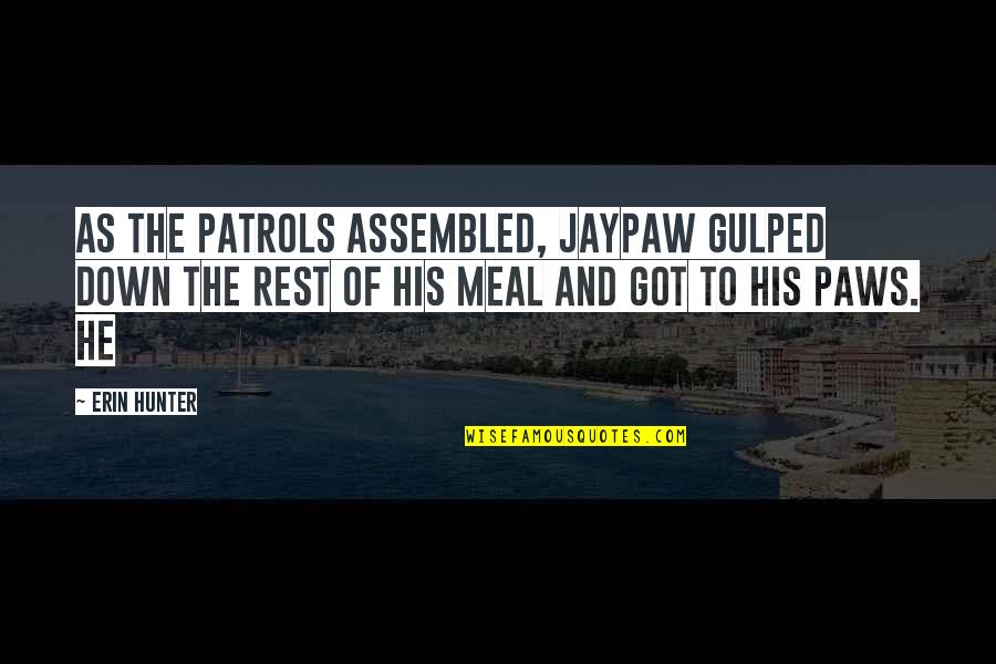 Jaypaw Quotes By Erin Hunter: As the patrols assembled, Jaypaw gulped down the Jaypaw Quotes By Erin Hunter: As the patrols assembled, Jaypaw gulped down the