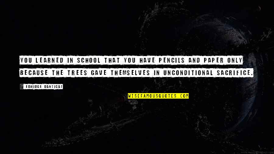 Jayshon Tate Quotes By Edwidge Danticat: You learned in school that you have pencils