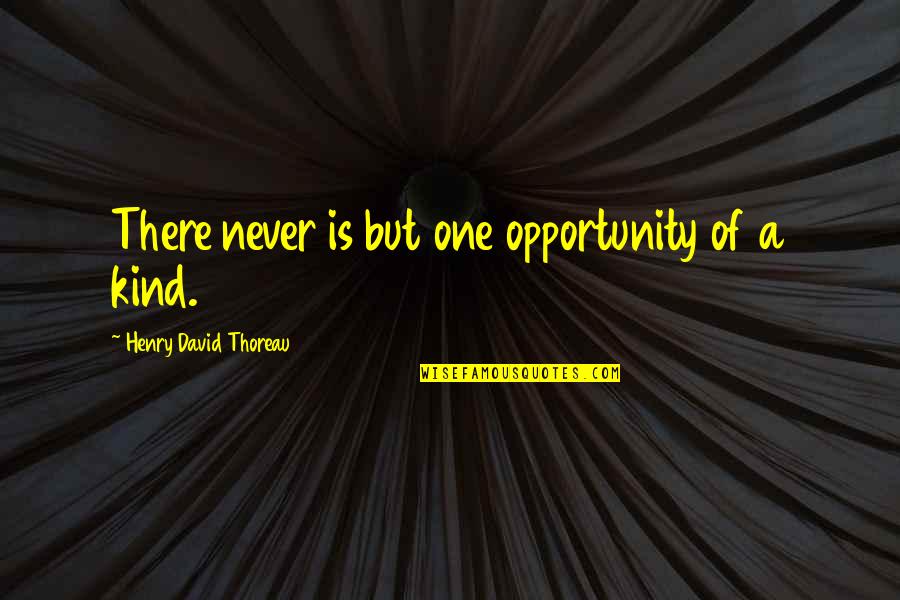 Jazmina Maritza Quotes By Henry David Thoreau: There never is but one opportunity of a