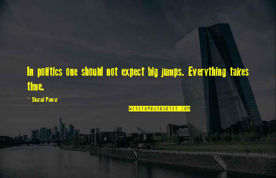 Jazmine Sullivan Quotes By Sharad Pawar: In politics one should not expect big jumps.
