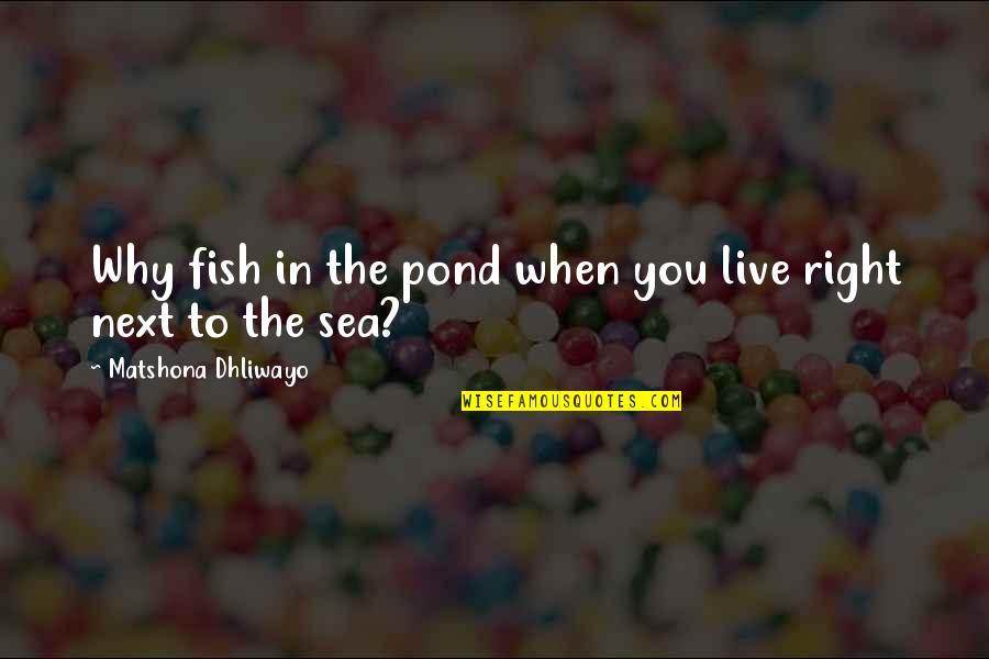 Jazmyneday2 Quotes By Matshona Dhliwayo: Why fish in the pond when you live