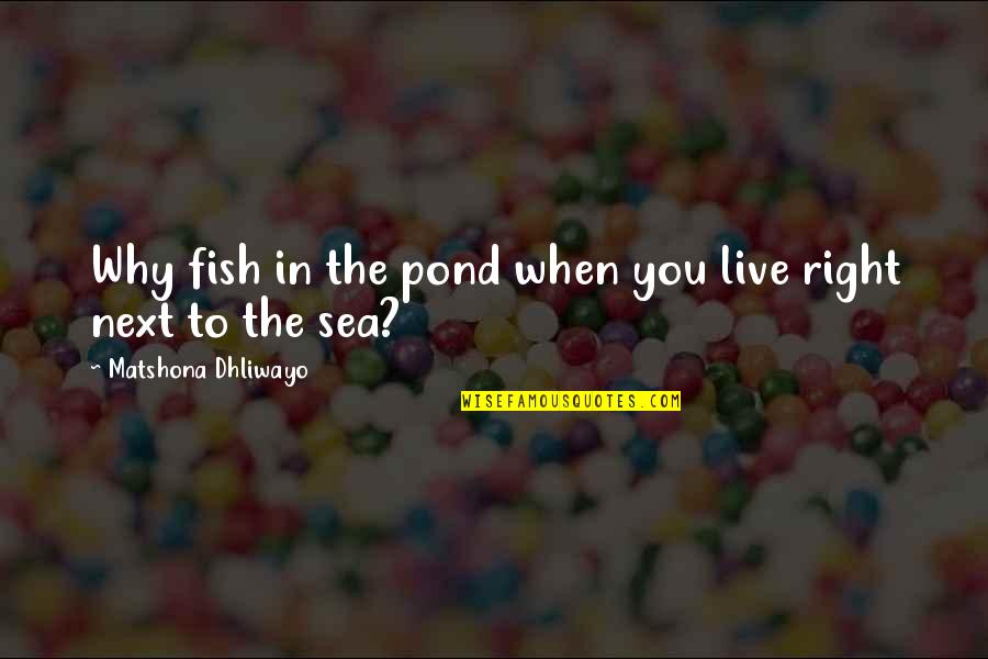 Jazmyneday2 Quotes By Matshona Dhliwayo: Why fish in the pond when you live Jazmyneday2 Quotes By Matshona Dhliwayo: Why fish in the pond when you live
