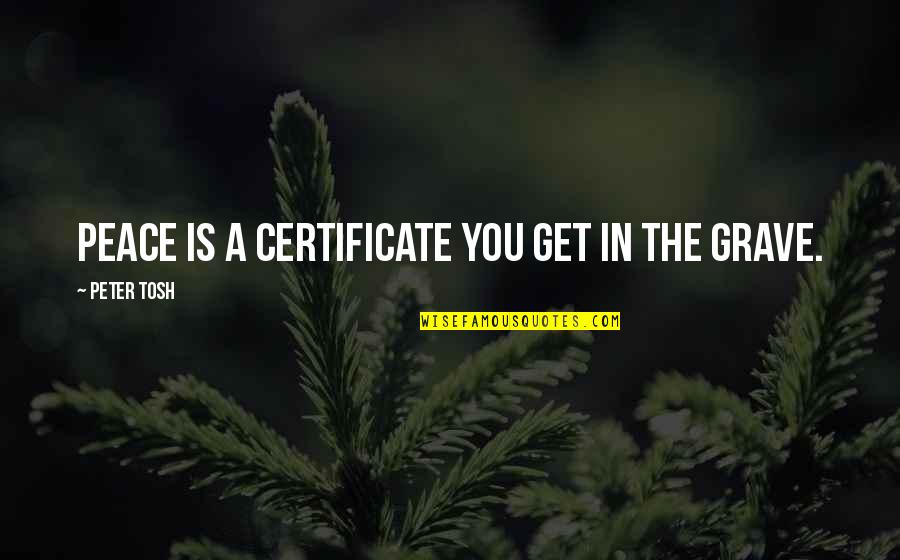 Jazwinski Taxidermy Quotes By Peter Tosh: Peace is a certificate you get in the Jazwinski Taxidermy Quotes By Peter Tosh: Peace is a certificate you get in the