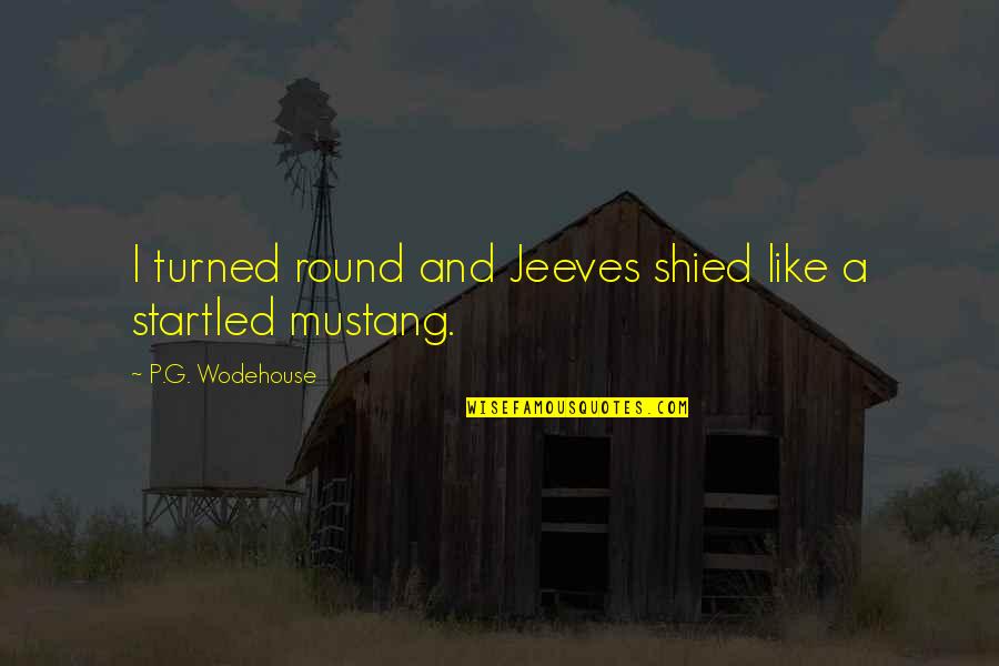 Jazzelle Zanaughtti Quotes By P.G. Wodehouse: I turned round and Jeeves shied like a