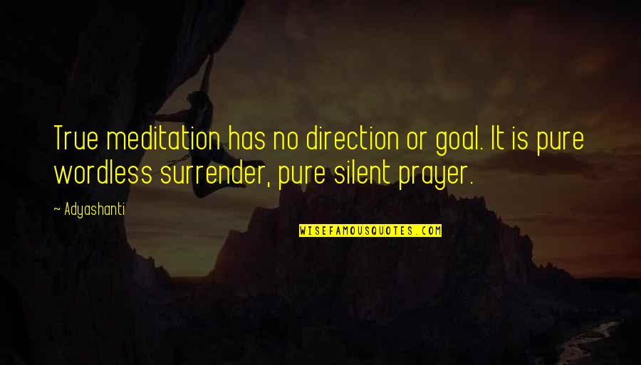 Jbs Quote Quotes By Adyashanti: True meditation has no direction or goal. It