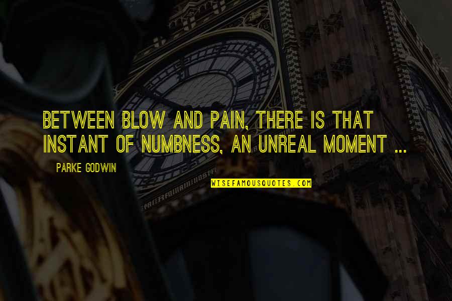 Jcroisant6 Quotes By Parke Godwin: Between blow and pain, there is that instant