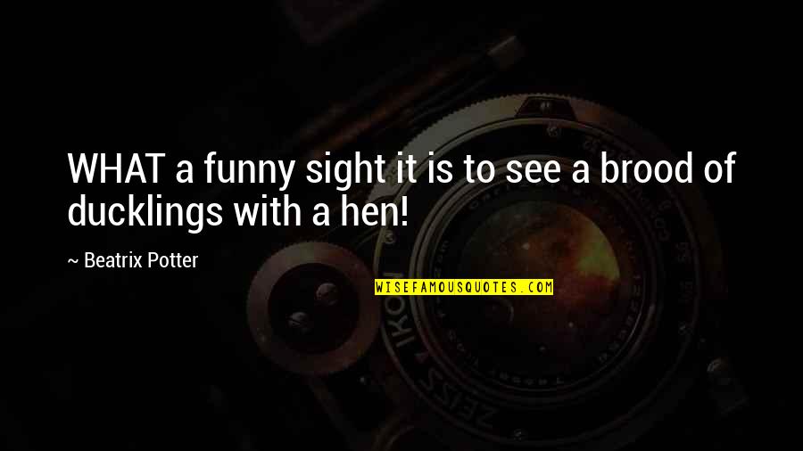 Je Ne Sais Quoi It Cosmetics Quotes By Beatrix Potter: WHAT a funny sight it is to see Je Ne Sais Quoi It Cosmetics Quotes By Beatrix Potter: WHAT a funny sight it is to see