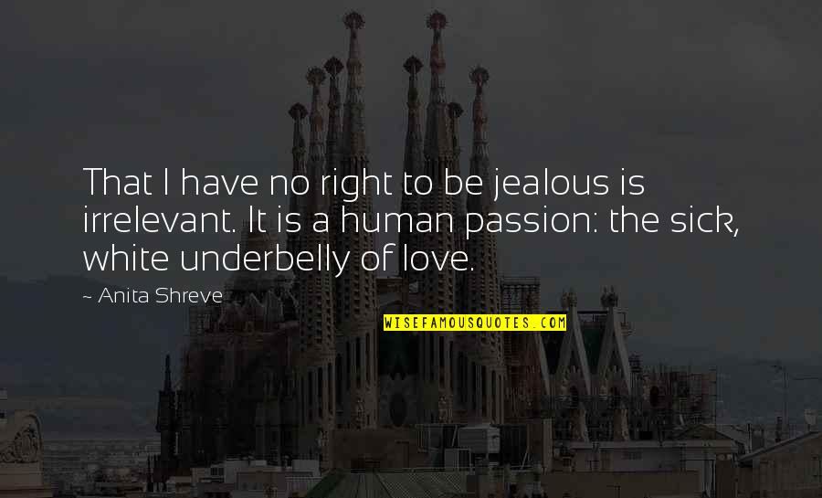 Jealous Love Quotes By Anita Shreve: That I have no right to be jealous