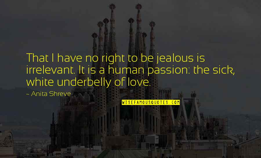Jealous Of Love Quotes By Anita Shreve: That I have no right to be jealous