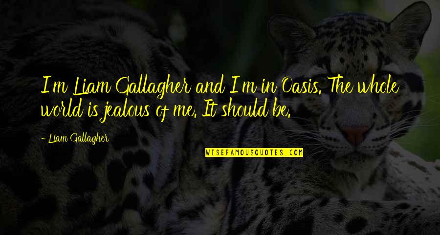 Jealous Of Me Quotes By Liam Gallagher: I'm Liam Gallagher and I'm in Oasis. The